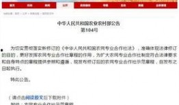 农村国宝爆料新闻最新版,揭秘最新版惊天新闻背后的真相